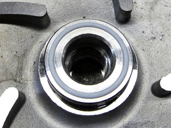 A white gasket is mounted on the impeller.